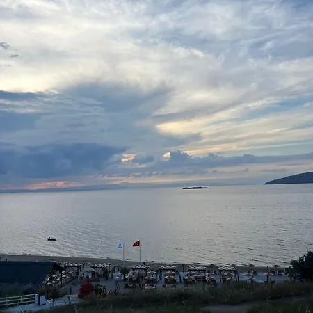Ege Naz 1